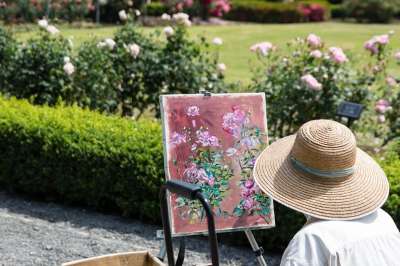 绘画 玫瑰 艺术品 花的