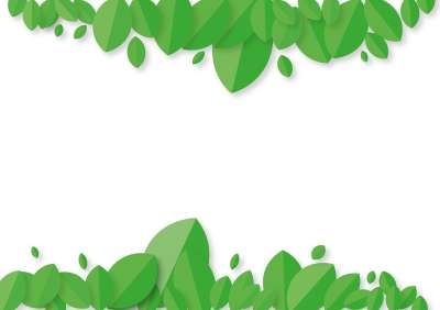 树叶 背景 生物 植物 绿色 春天 丛林