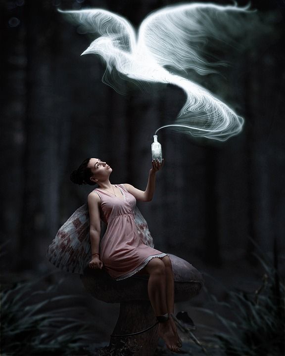 年轻女子 仙女 幻想 森林 童话故事 魔法 神秘 超现实的 照片