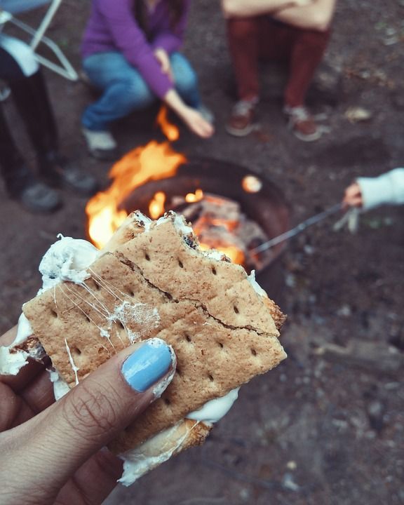 S'More, 食物, 小吃, 火, 烹饪, 户外的, 手, 模糊, 野营