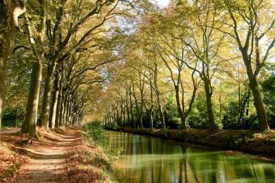 Canaldumidi 图卢兹 树木 秋天 Hautegaronne