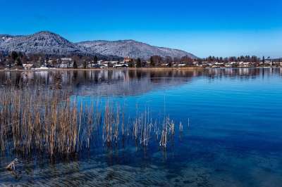 湖 阿尔卑斯山 泰根塞 冬天 芦苇 全景 水 反射 上巴伐利亚