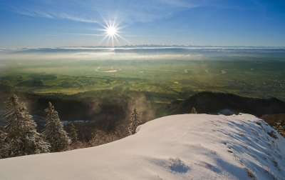 冬天 雪 多雾路段 太阳 景观 冬季景观 雪景 冬季魔法 神秘