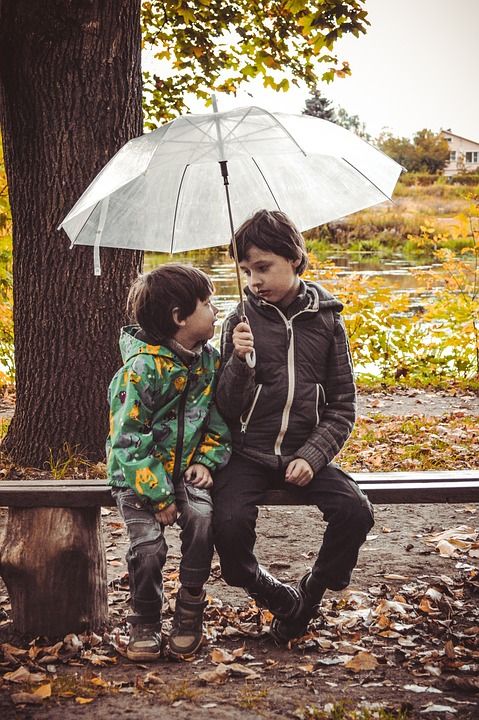 伞 孩子们 雨 男孩 孩子们的 伙计们 盗贼 童年 家庭 兄弟