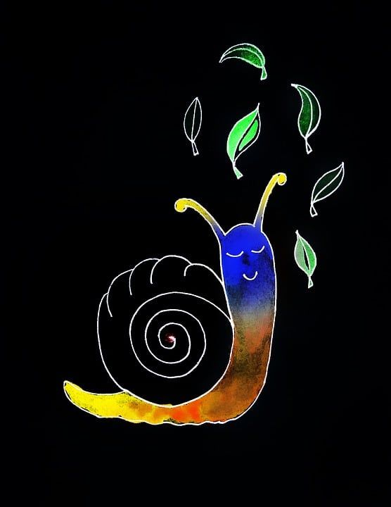 蜗牛 微笑 叶子 儿童插画 水彩 艺术 草图 荧光 性格