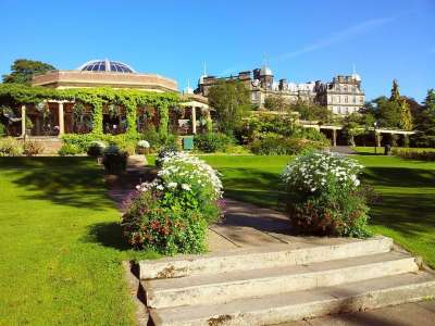 英国 建造 花朵 花园 跑马地花园 草 绿色 哈罗盖特 景观