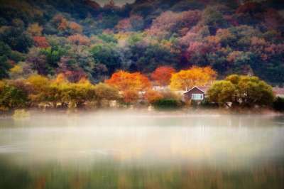 秋季 湖 细水雾 大自然 风光 秋天的树叶 景观 森林 树