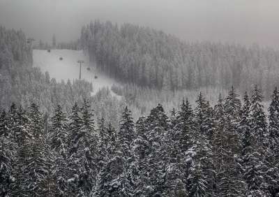 冬天 雪 自然 寒冷的 景观 山 户外 树木 多雾路段 黑和白