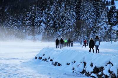海滩 阿尔卑斯山 湖 冻结 雪 走 冷 白色的 似雪 情绪