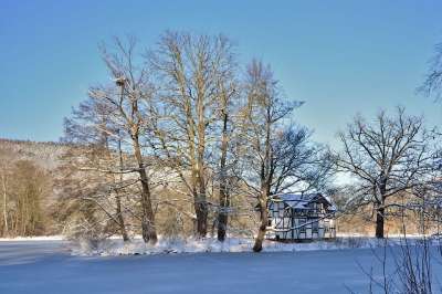 冬天 公园 湖 雪 冬季景观 寒冷的 冻结 白色的 景观