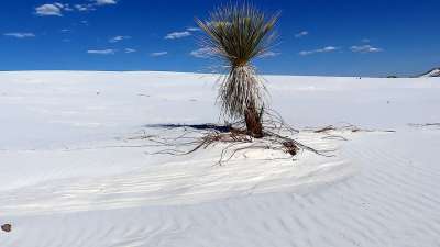 自然 公园 点心 Sands 白色的 景观 美国 野蛮的 全景图