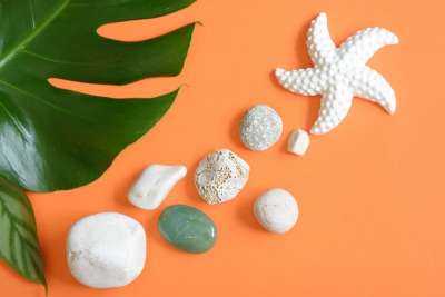 海星 鹅卵石 石头 夏天 设计 平铺 平躺 橙色的夏天