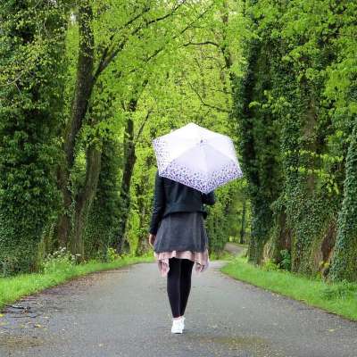 年轻女子 女孩 雨伞 雨 户外 在免费 自然 人的 路 小路