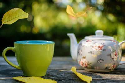 茶 杯子 落下 茶碗 茶壶 喝 秋天 秋天的树叶 树叶 瓷