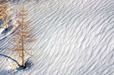 山 冬天 雪 树 落叶松 户外活动 季节 白色的
