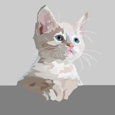 动物 白色的 装饰 猫 几何学 爱猫 流行音乐 艺术 艺术品
