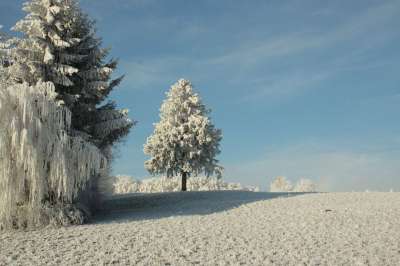 雪 冬天 冬季仙境 冻结 冬季景观 白色的 太阳 雪覆盖 雪景