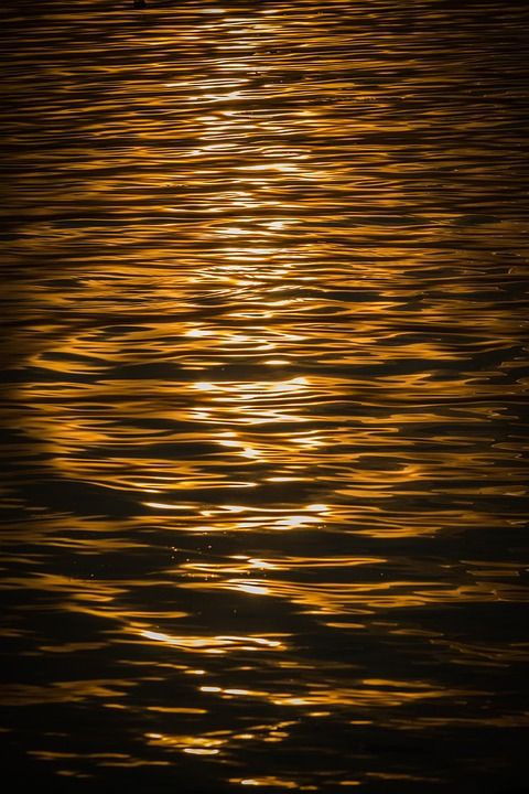 巴拉顿湖 湖 水 日落 景观 颜色 暮 夏天 黄昏 匈牙利