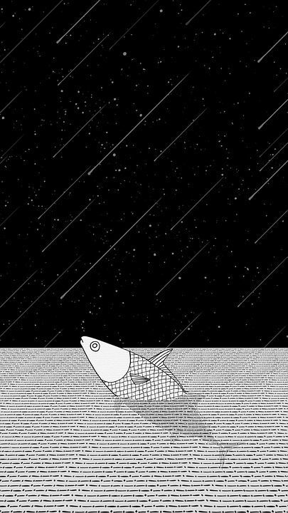 创造力 思维 绘画 鱼 夜晚 星星 海洋 黑海 黑色的思想