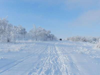 路 雪 景观 荒野 风景 有天赋的人 户外的 环境 风景秀丽的
