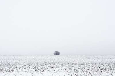 冬天 景观 霜 雪 孤独 忧郁 自然 寒冷的 白色的 天空