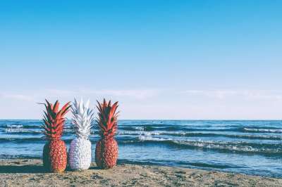 菠萝 日落 水果 海滩 红色的 白色的 夏天 加拿大 波浪 沙