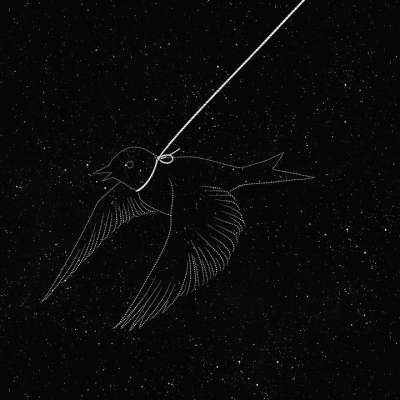 鸟 星星 翅膀 宇宙 繁星点点 星系 空间 夜晚 卡通片 绘画