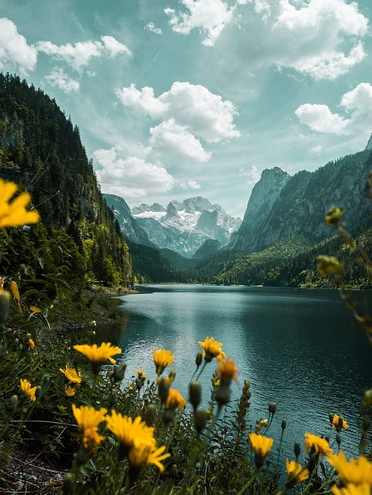 景观 山 奥地利 欧洲 多云的 旅行 徒步旅行 探索 探险家