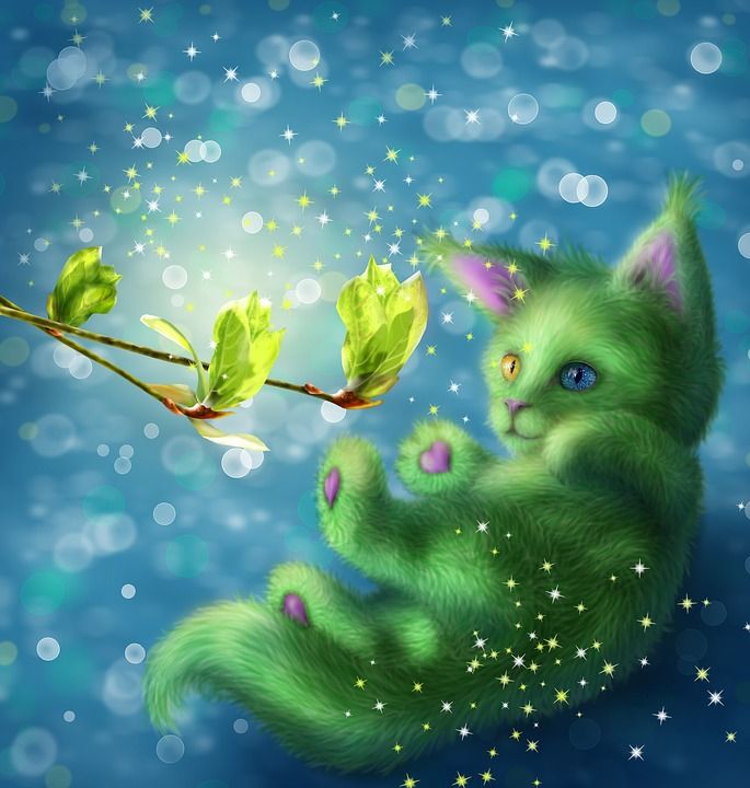 春天 猫 幻想 自然 叶子 小猫 可爱