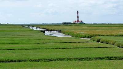 灯塔 北海 盐草甸 瓦登海 海岸 地标 北弗里斯兰 国家公园