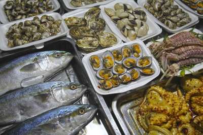 海鲜 鱼 食物 三文鱼 新鲜的 一顿饭 餐厅 美味的 金枪鱼