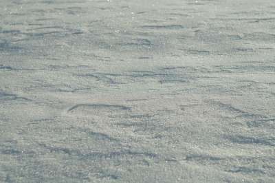 雪 冬天 背景 质地 地面 寒冷的 霜 冰 光 自然 特写