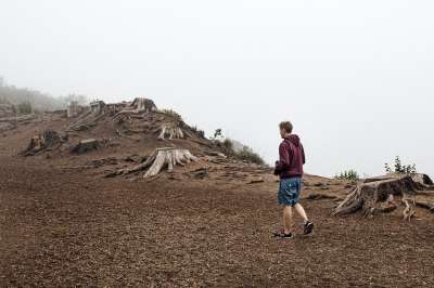 山 海岭 顶峰 首脑 砍伐森林 天空 高地 景观 自然 人们
