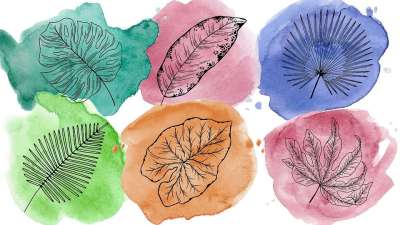 树叶 水彩绘画 绘画 艺术品 墙纸 丰富多彩的墙纸