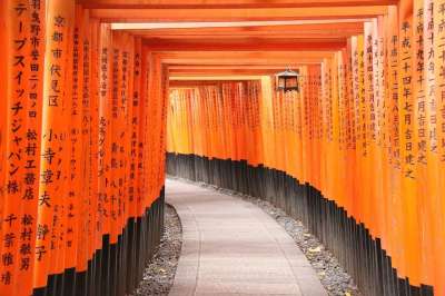 伏 京都 日本 神社 寺庙 结构 文化 地标 观光 旅行