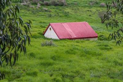 草 丛生 绿色 割草机 夏天 乡村的 小屋 蓬头垢面 农场
