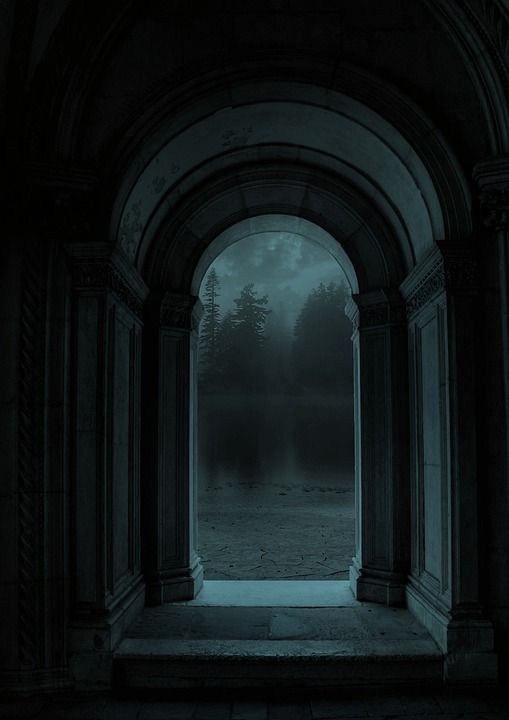 门 景观 幻想 林 夜 性质 超现实的 湖 水 门 门 门