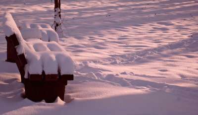 自然 冬天 阳光 寒冷的 雪 冬天的寒冷 孤独 银行 霜