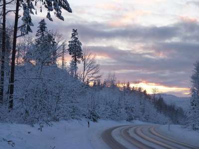 冬天 树木 雪 路 湿滑路面 巷道 黑冰 冬季景观 寒冷的