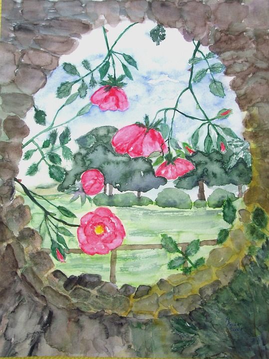 花 玫瑰 绘画 图片 艺术 作画 染 艺术的 艺术家 作品