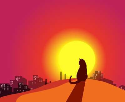 猫 城市 日落 太阳 天空 看法 天际线