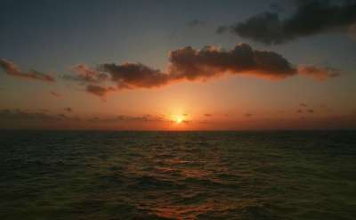 海 日落 波浪 地平线 西