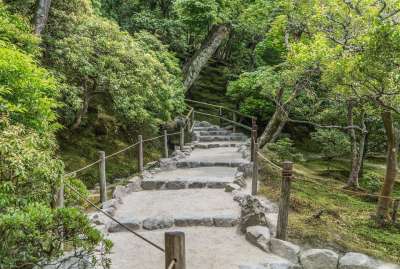 石路 楼梯 森林 日本 京都 苔藓 自然 绿色 户外的 远足
