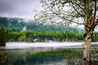 景观 春天 自然 水 山 树木 桦木 湖 几点思考 雾 森林