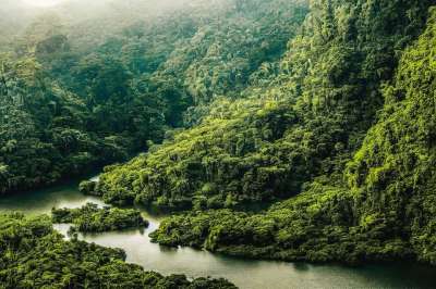 河 生成的Ai 幻想 热带 丛林 景观 自然