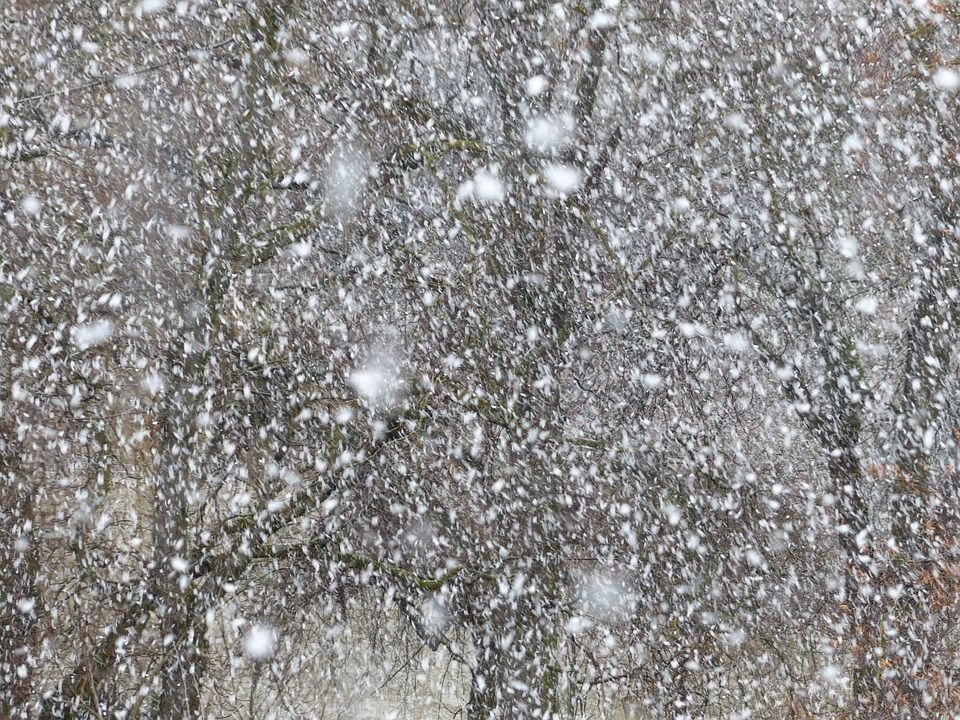暴风雪, 雪, 雪花, 降雪, 吹雪, 冬天, 寒冷的, 薄片, 风暴, 风