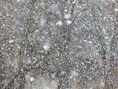 暴风雪 雪 雪花 降雪 吹雪 冬天 寒冷的 薄片 风暴 风
