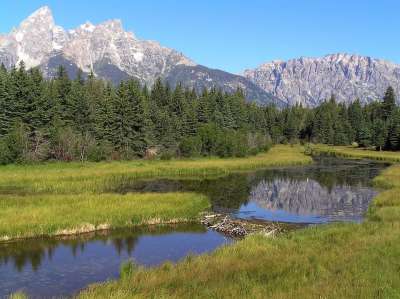 大提顿国家公园 怀俄明州 天空 山 森林 树木 地标 目的地