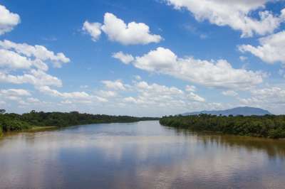 Rio Branco 罗赖马州 Viruá 亚马逊 森林 雨林 丛林