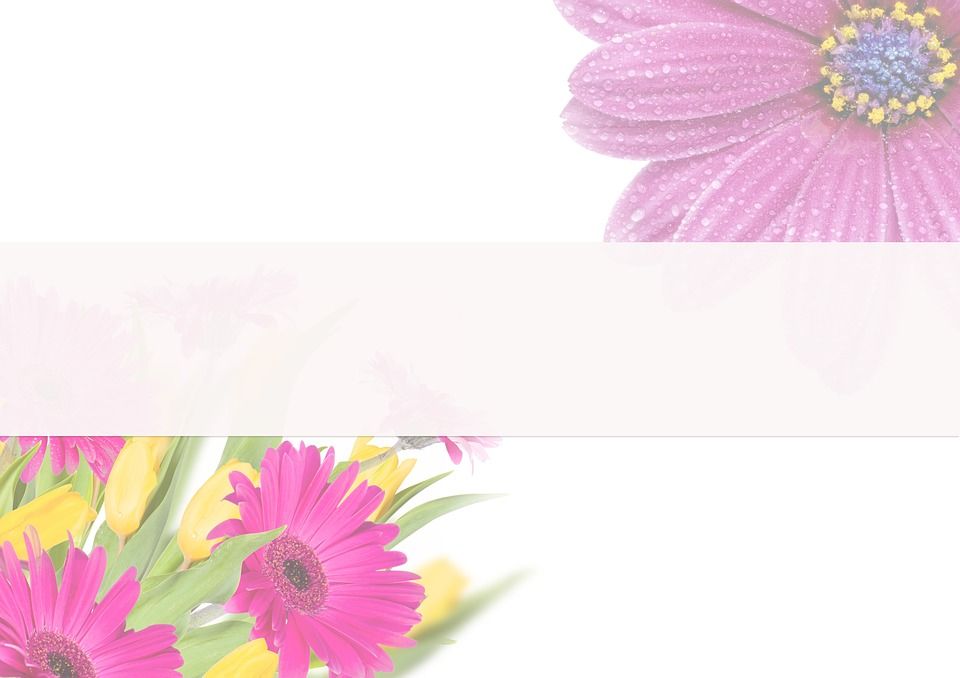 花朵, 粉彩, 空白的, 帆布, 横幅, 模板, 白色背景, 春天, 复活节